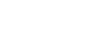 SSTY2021LogoValk
